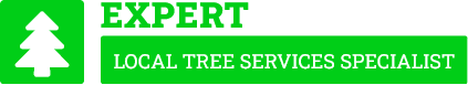 Rotorua Tree Cutting - Tree Removal Rotorua